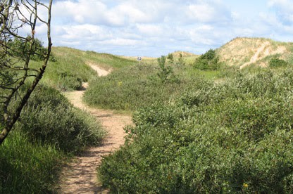 Buktenbanan mountainbikeled