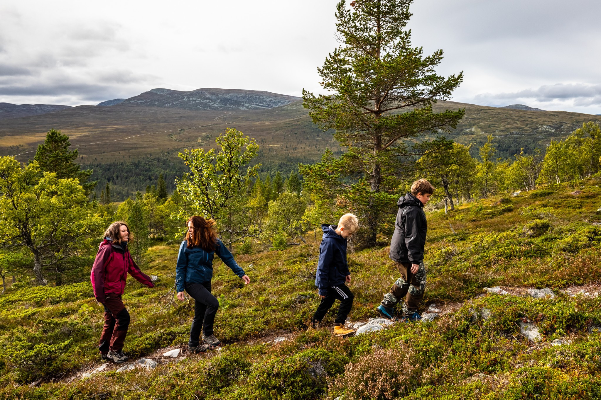 Utomhusrestaurang på fjället