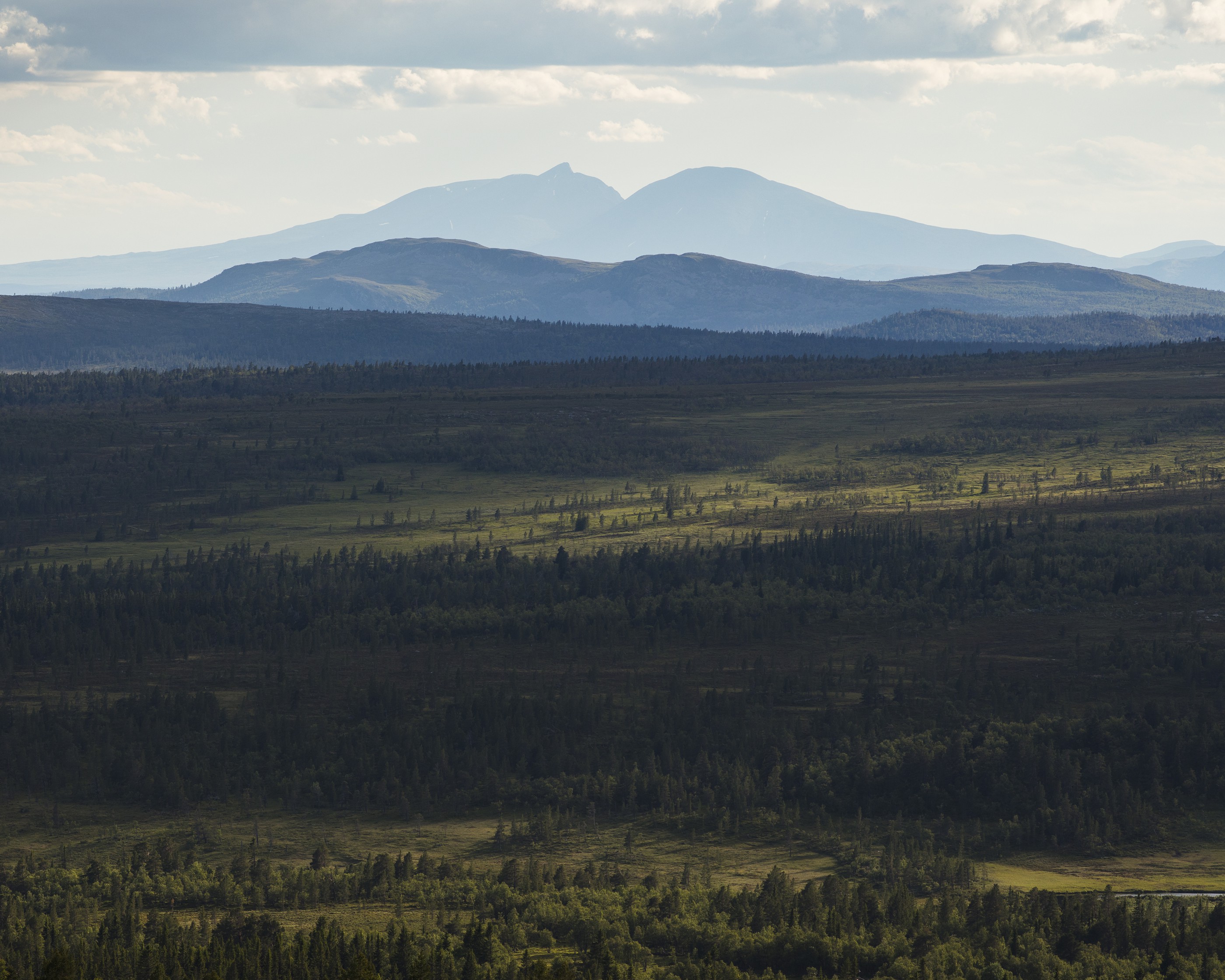 Fjällvandring i Grövelsjön