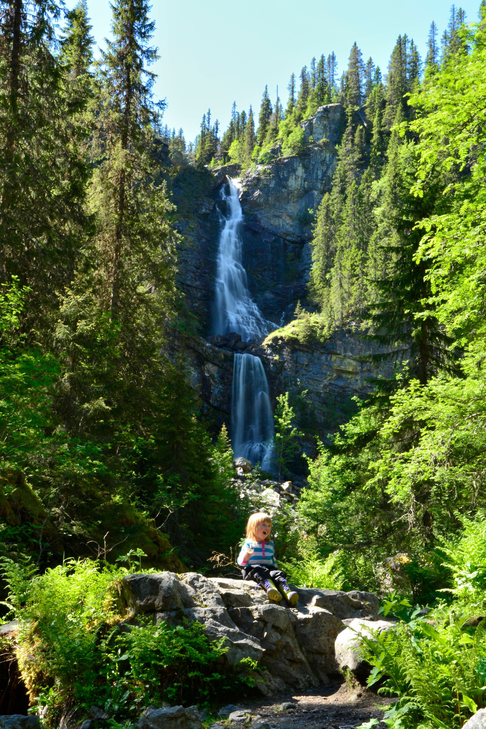 Finn fem fall i Vemdalen