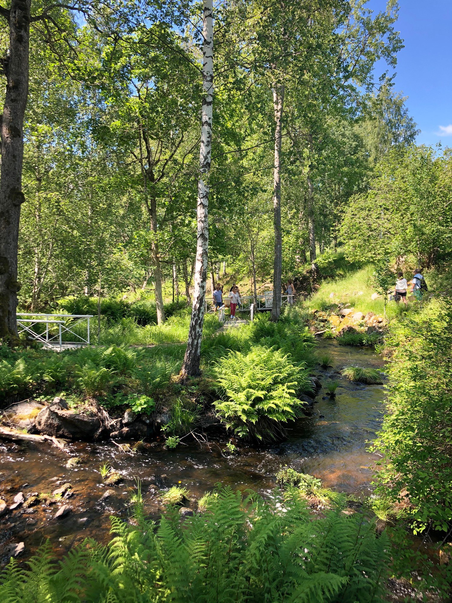Pilgrimsvandring