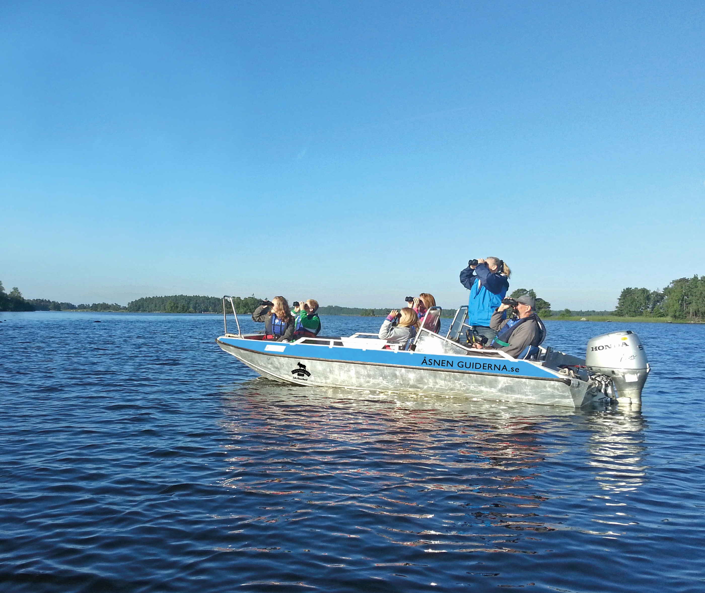 Fiskgjusesafari på Getnö Lake Åsnen Resort