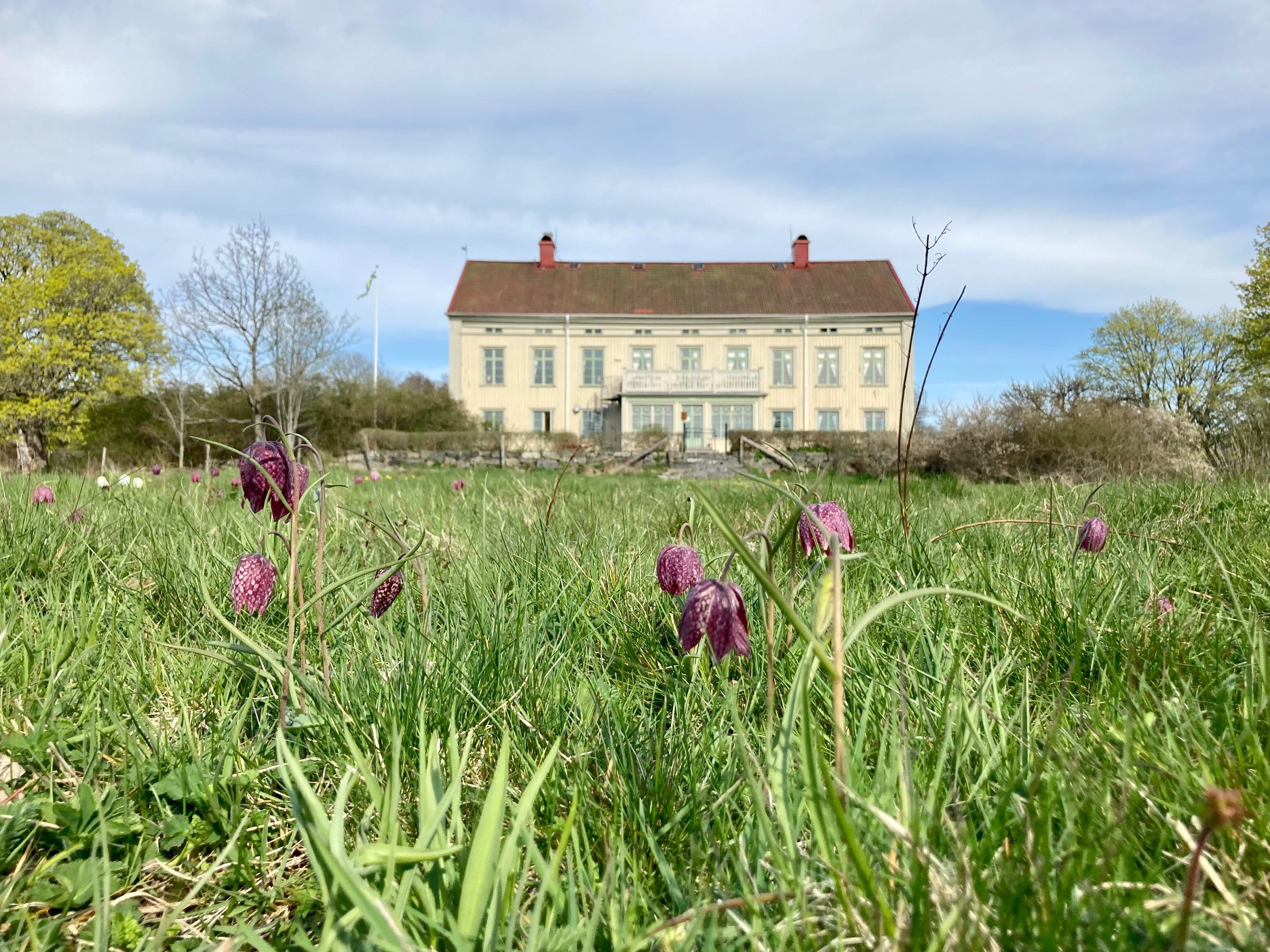 Herrgård de luxe – Osaby Säteri