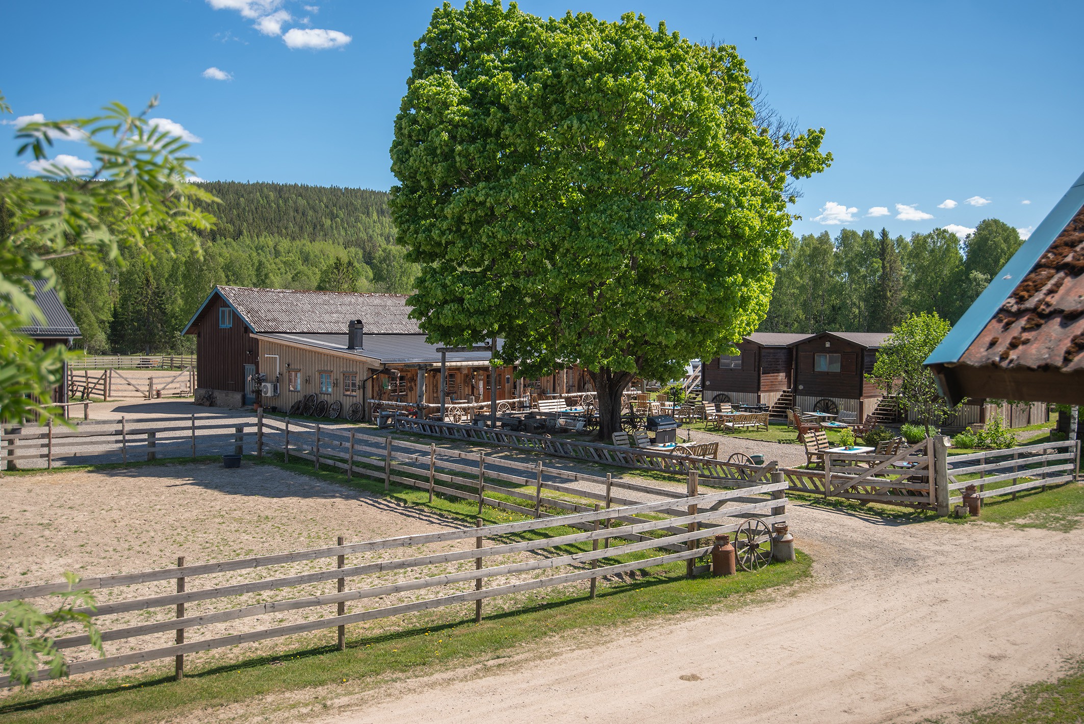 Sun Dance Ranch