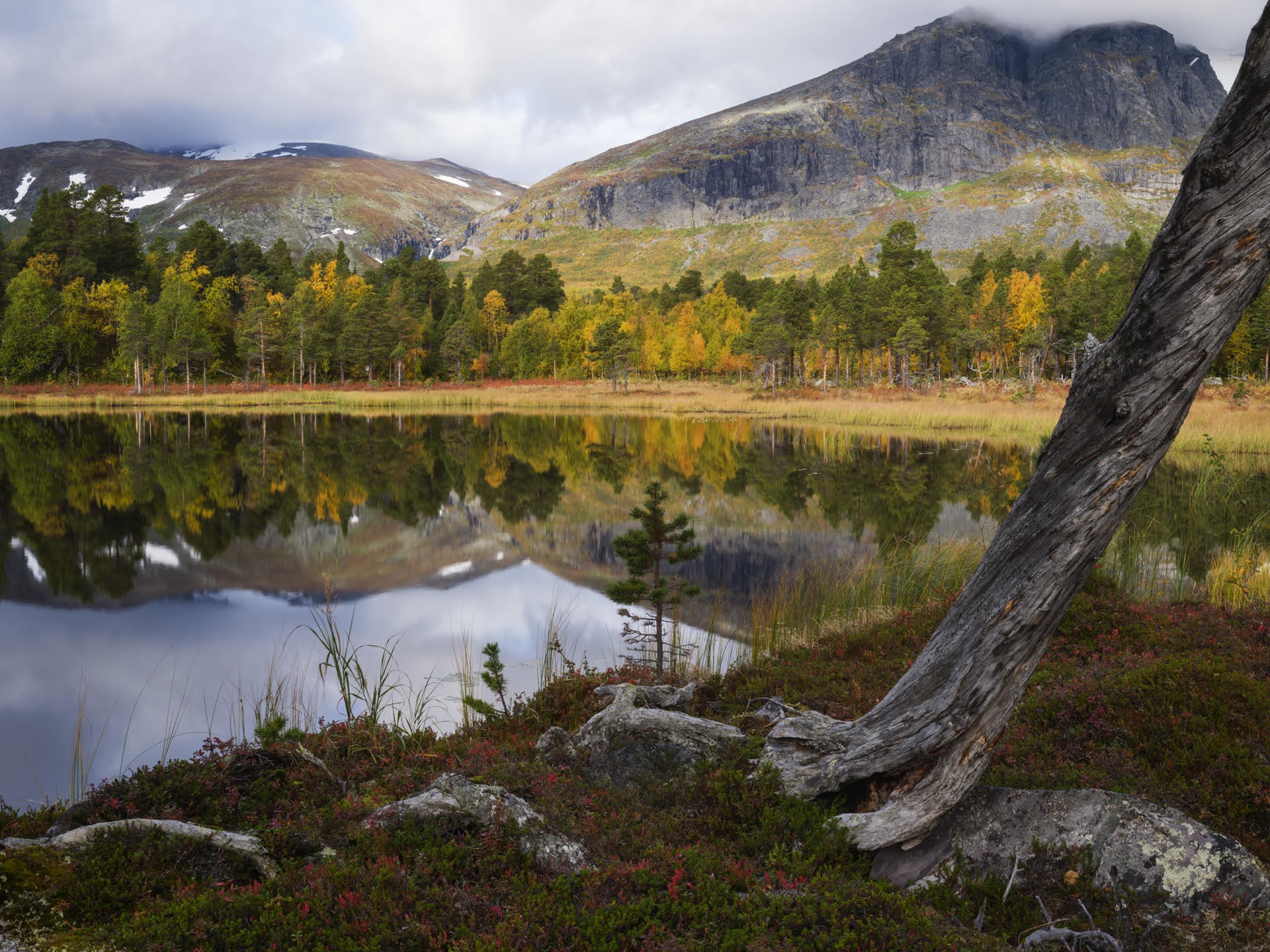 Serkan Günes Naturfotograf