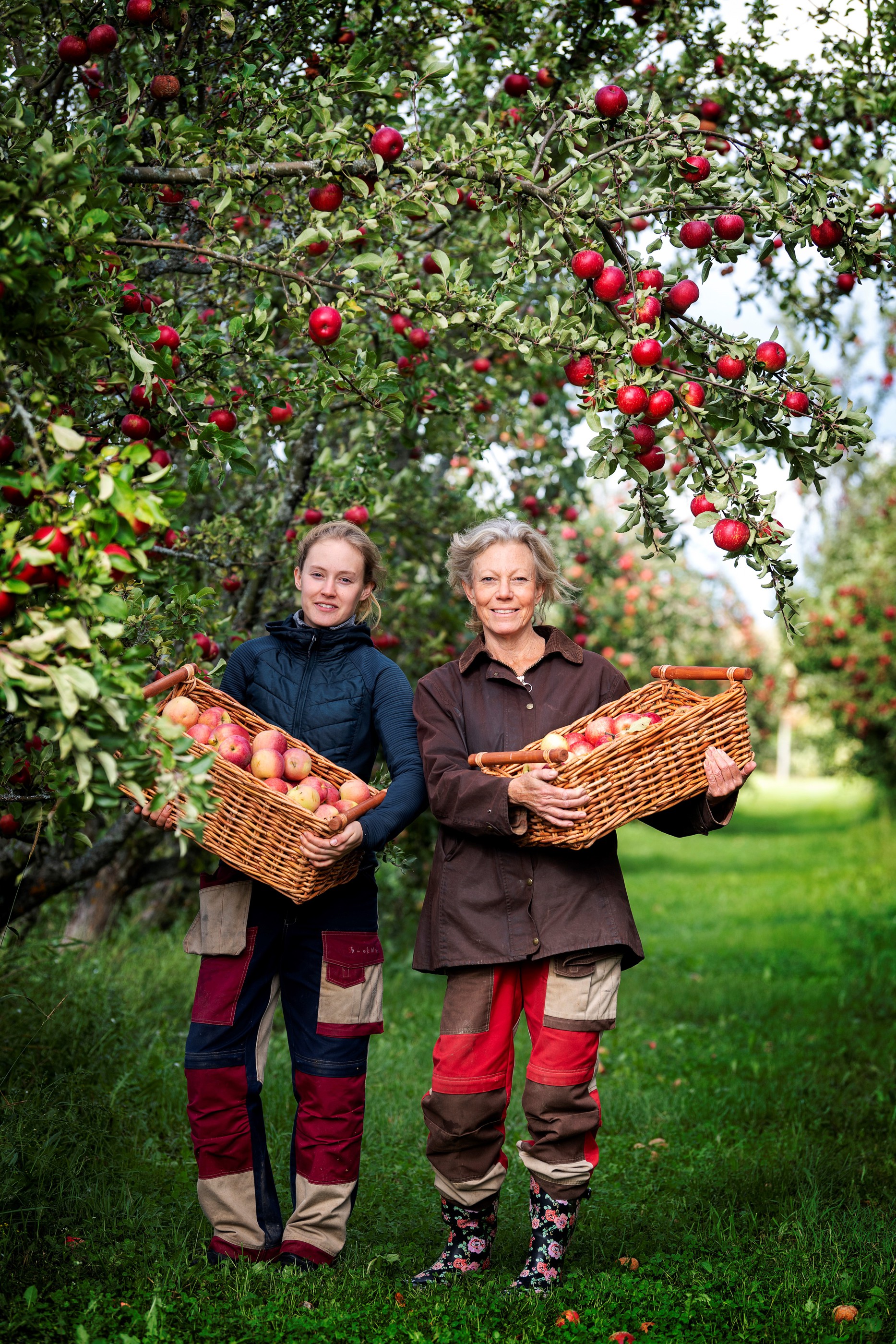 Cider- och mustprovning