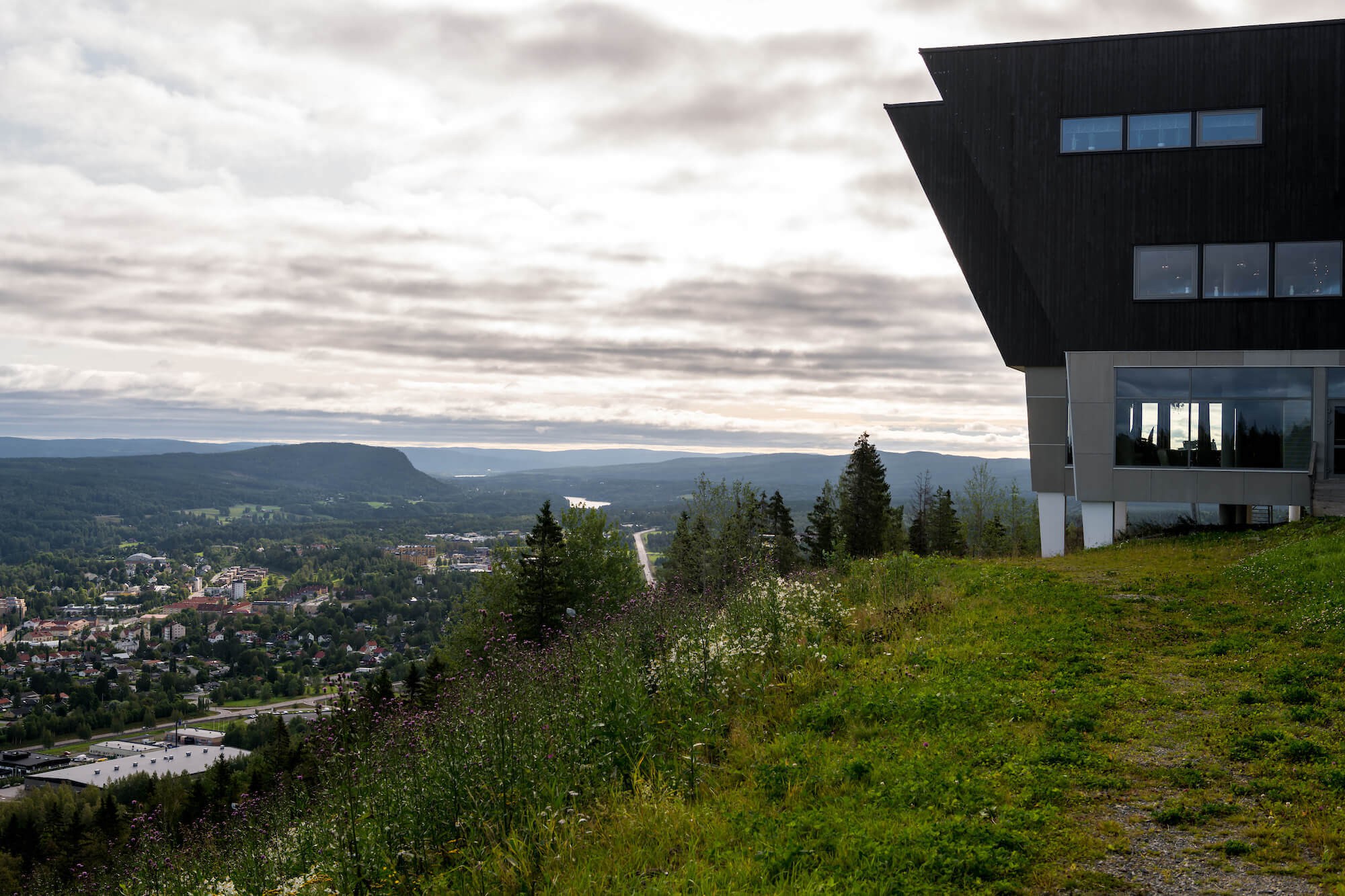 Hallstaberget och Nipleden