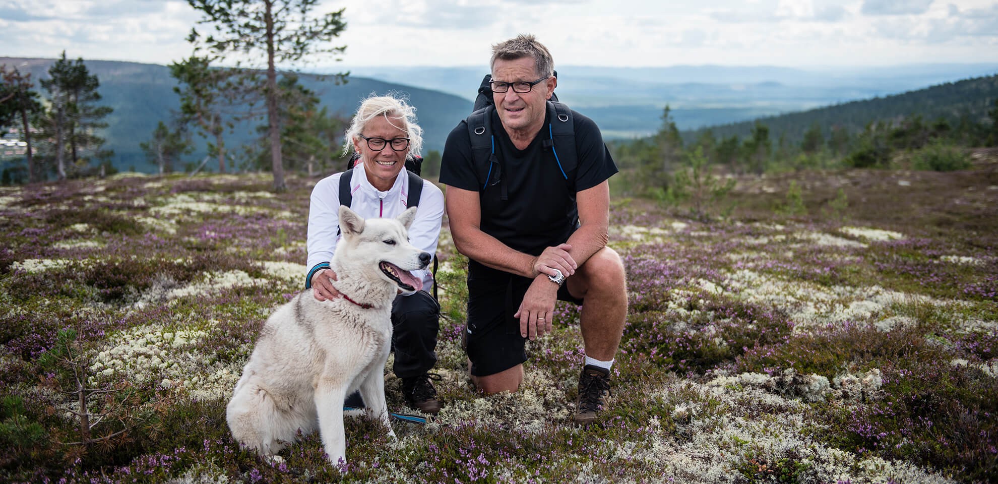 Fjällvandra med hund