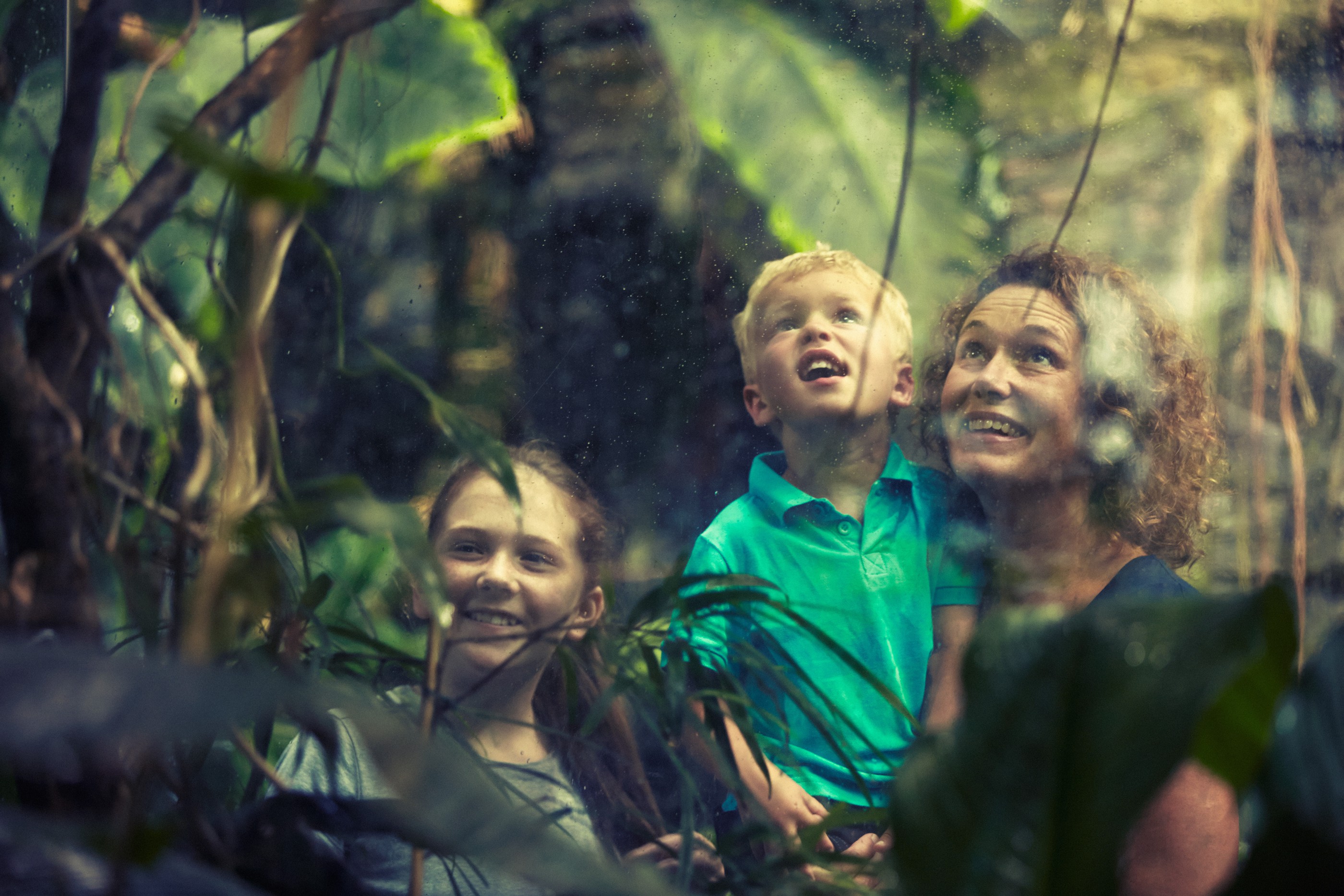 Universeum Vetenskapcenter