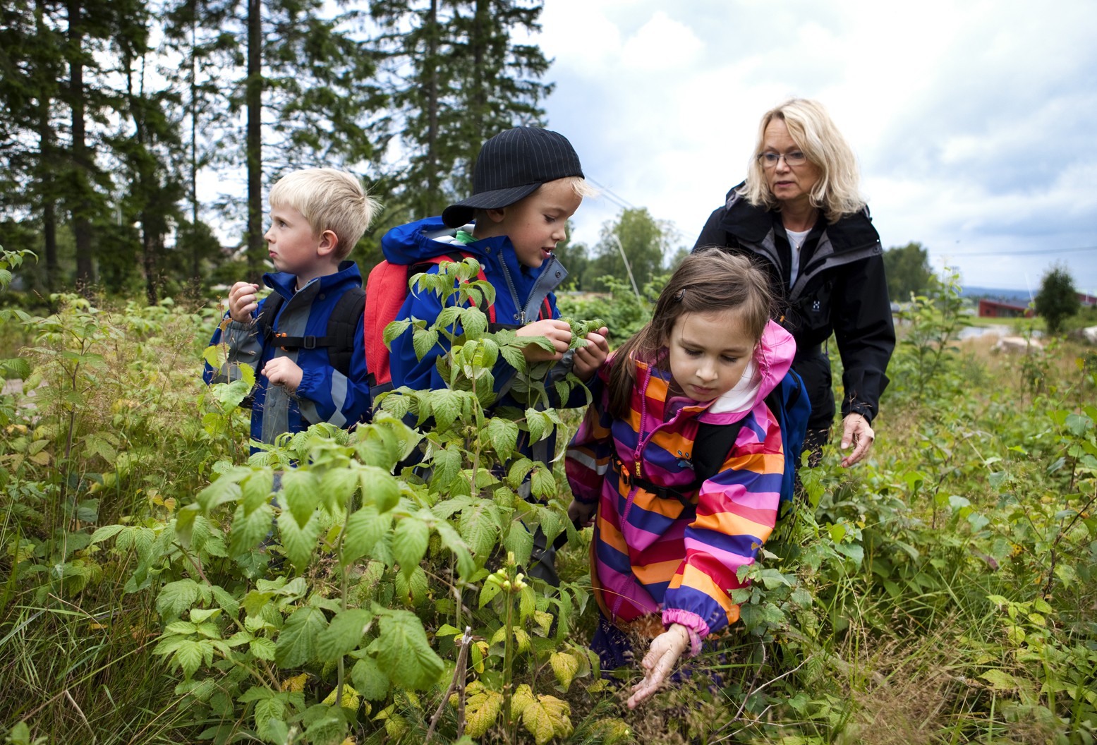 Familjens skogspaket med övernattning