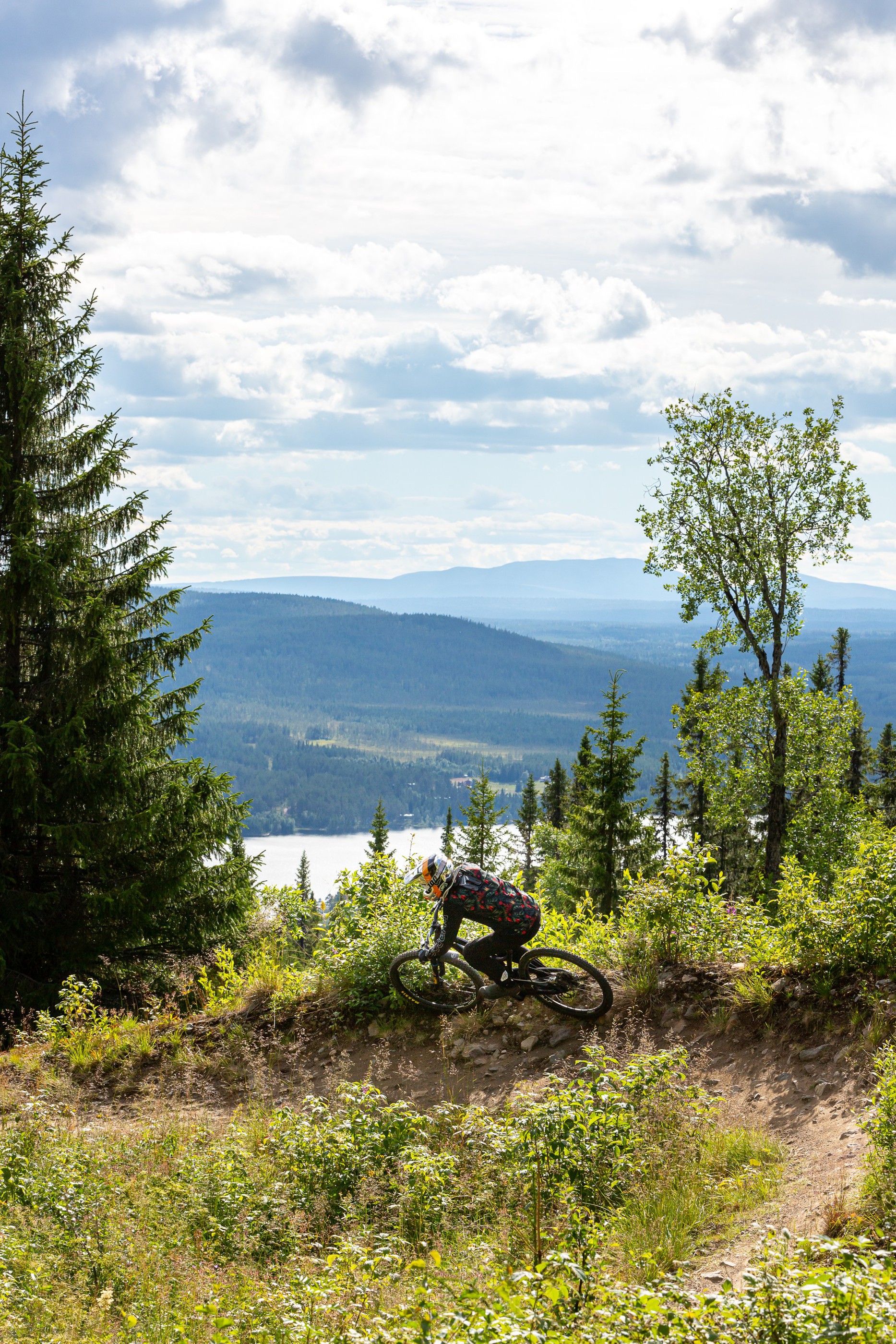 Downhillcykling i fjällbyn Lofsdalen
