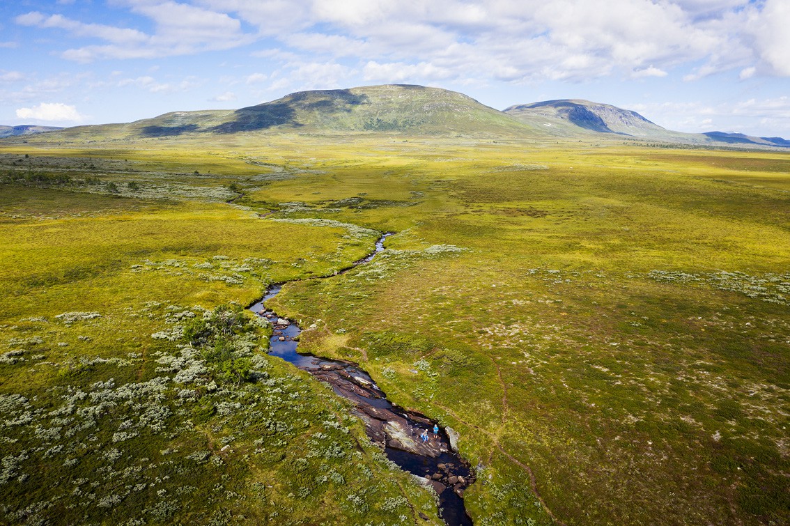 Enkla dagsvandringar i Funäsfjällen