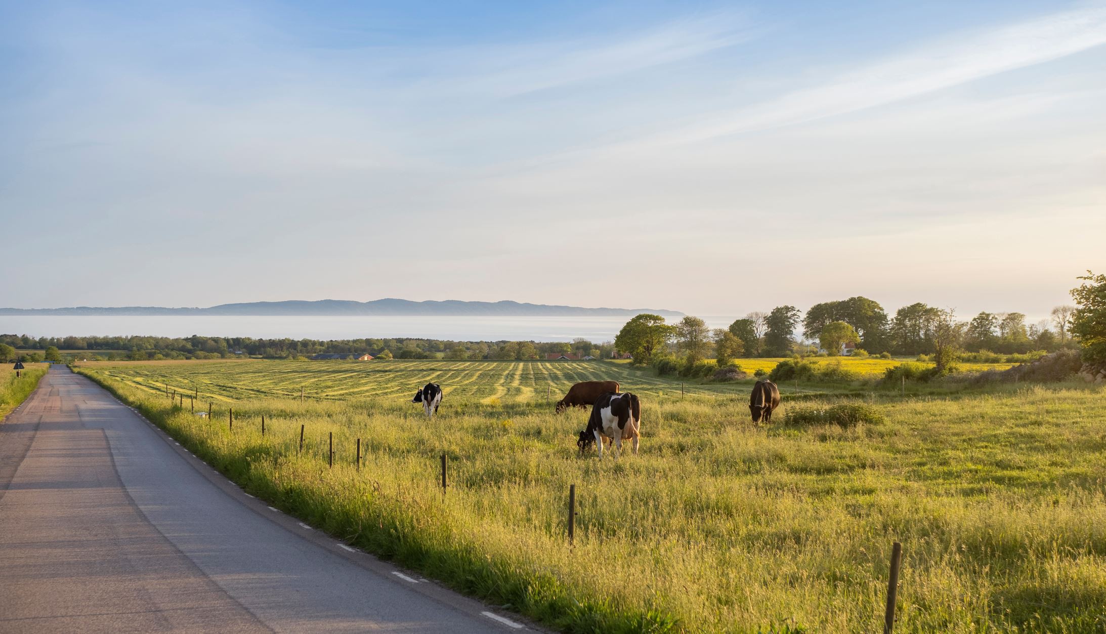 Njut av Båstad & Bjärehalvön