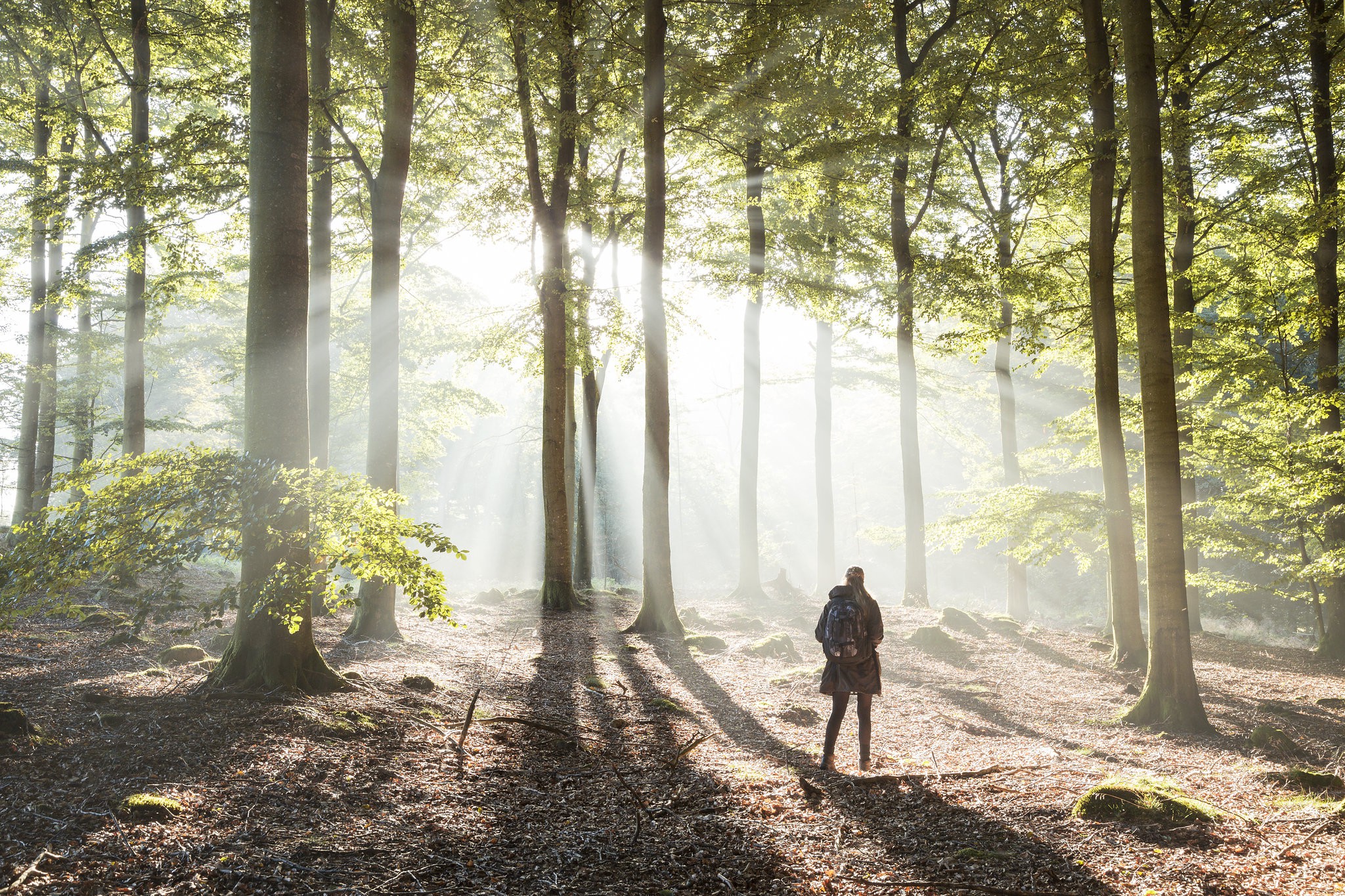 Natursköna vandringar i Båstad