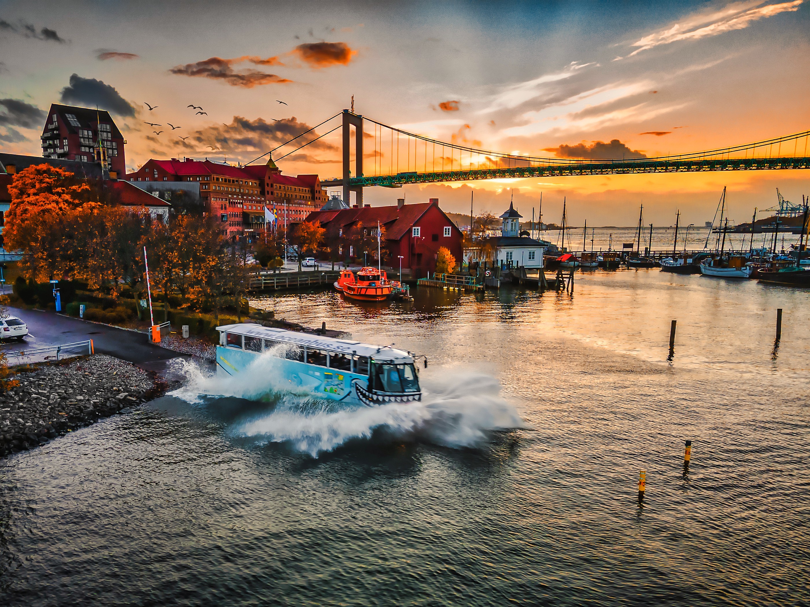 Ocean Bus amfibiebuss